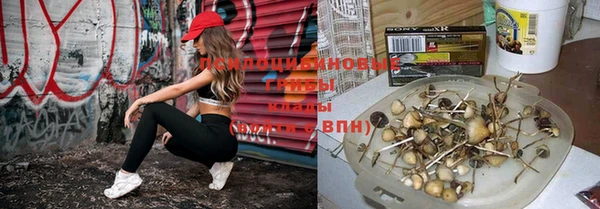 метамфетамин Богородицк